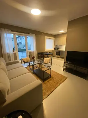 a living room with a couch and a table at Dronningens Gate 95, H0301 in Lii