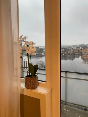 a window with a plant in a basket on a ledge at Dronningens Gate 95, H0301 in Lii
