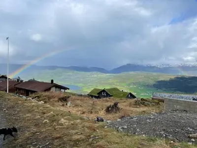 a cat walking on a hill with a rainbow in the background at Ferieleilighet i Tråstølen in Vossevangen