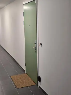 a green door in a room with a mirror at Modern apartment in Trondheim