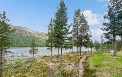 a group of trees on the shore of a lake at 4 Bedroom Cozy Home In Nordberg in Nordberg