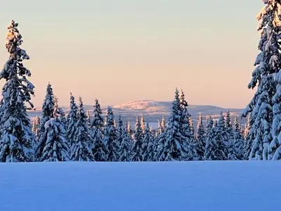 a group of trees covered in snow with a mountain in the background at Newly Renovated Cabin By Sjusjoen Ski Slopes in Sjusjøen