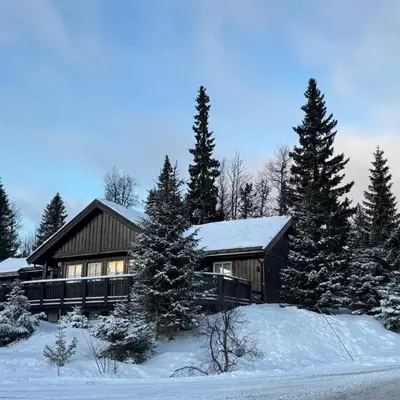 Cosy ski-in ski-out mountain cabin with sauna
