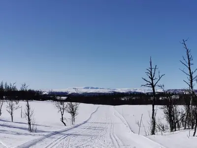 a road in a field with snow and trees at Bjørnebo, Family cabin in Torpo