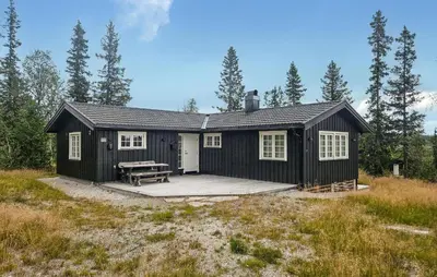 a black cabin with a picnic table in a field at Amazing Home In Veggli With Wifi in Veggli