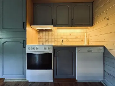 a kitchen with a stove and a dishwasher at Tvilsombu, cosy cabin close to ski slopes in Geilo
