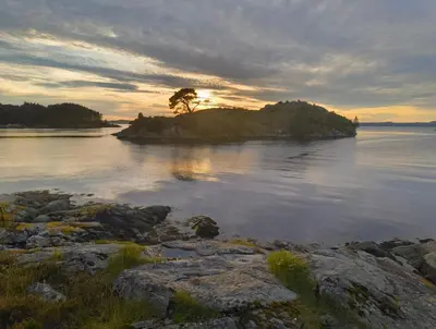 a tree on an island in a body of water at Retreat Øklandsnes in Lii