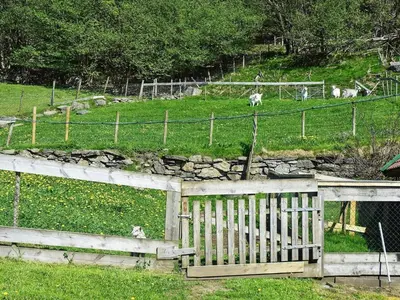 a wooden gate in a field with animals in the background at 6 person holiday home in Onarheim in Onarheim