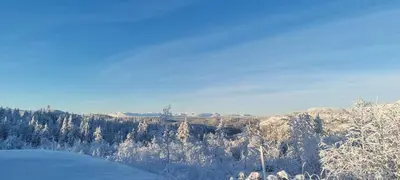 a snow covered mountain with trees in the background at Family Cabin With Firepit At Søndre Fjellstølen in Reinli