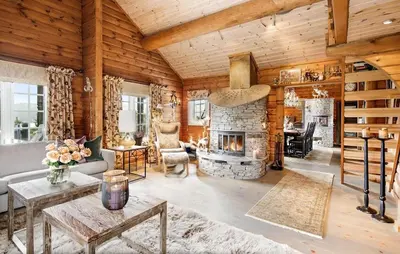 a living room with a couch and a fireplace at Awesome Home In Flesberg With Sauna in Flesberg
