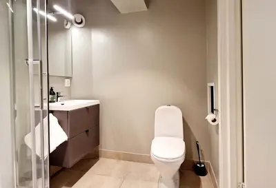 a bathroom with a white toilet and a sink at Historic retreat in the middle of town in Bergen