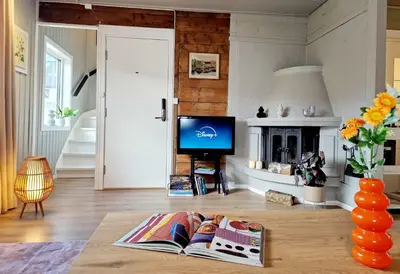a living room with a television and a fireplace at Historic townhouse - 2 baths 3 floors 100 percent charm in Bergen