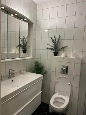 a bathroom with a toilet and a sink and a mirror at Cozy place in the city center, Bergen! in Lii