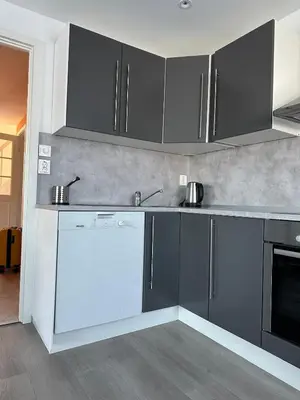 a kitchen with black cabinets and a white dishwasher at Cozy house with a sea view in Knarrvika