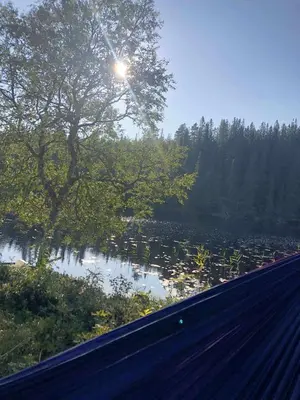 a view of a river with trees and a road at Cozy lakeside cabin in Trøndelag