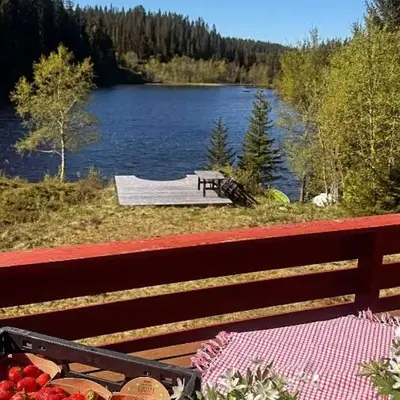 Cozy lakeside cabin in Trøndelag