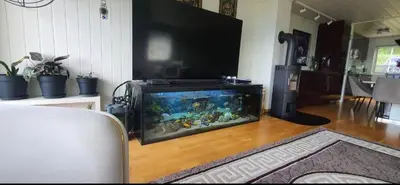 a fish tank in a living room with a tv at Flora in Lillehammer