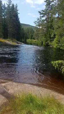 a river with trees on the side of it at Cabin in Kongsberg, Jondalen in Kongsberg