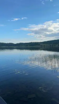 a large body of water with trees in the background at Cosy Family Cabin With Views And Sauna in Svingvoll