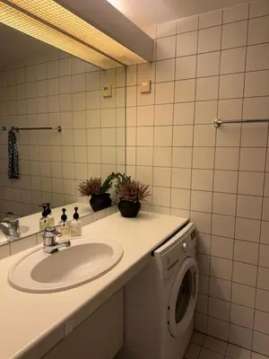 a bathroom with a sink and a washing machine at Beautiful apartment at Ustaoset in Hol