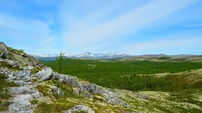 a view from the top of a hill with mountains at Fiskebu at Flaksjøen in Venabygd