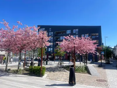 a woman standing in front of trees with pink flowers at Sentrumsnær leilighet Bergen in Bergen