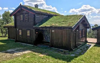 a house with a grass roof on top of it at Stunning Home In Oppdal With Sauna in Oppdal