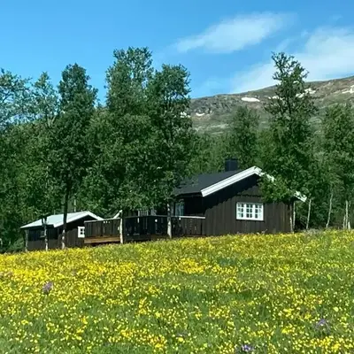 Simple Mountain Cabin Near Vinstra