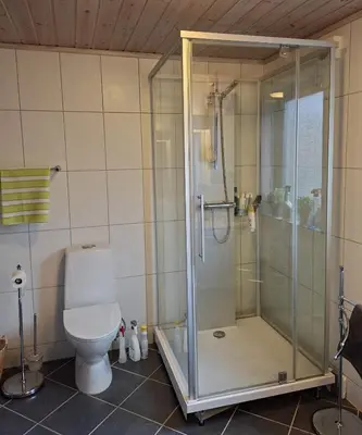 a bathroom with a shower and a toilet at Moderne hytte på Tingvoll nær sjø og turterreng in Tingvoll