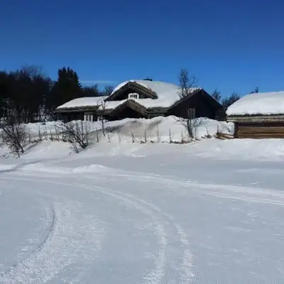 Nydelig hyttetun på Torpoåsen