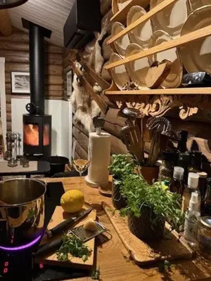 a kitchen with a counter with plants and a stove at Timber Cabin With Wood-Fired Hot Tub In Trysil in Trysil