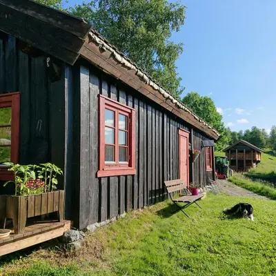 a black house with a dog sitting outside of it at Restored Cabin From 1852 In Bergsjø Area in Ål