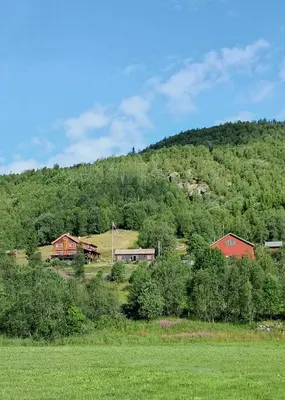 a field with houses and a hill with trees at Restored Cabin From 1852 In Bergsjø Area in Ål
