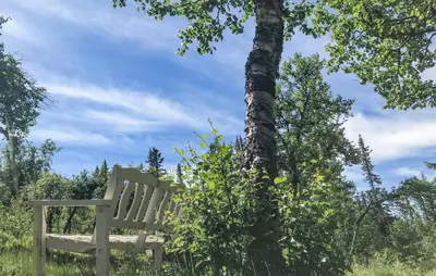 a wooden bench sitting next to a tree at 4 Bedroom Lovely Home In Nord-Torpa - N31585 in Nord Torpa
