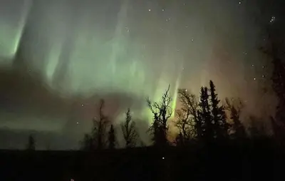 an aurora in the sky with trees in the foreground at 4 Bedroom Lovely Home In Nord-Torpa - N31585 in Nord Torpa