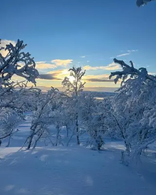 a group of trees covered in snow with the sunset in the background at Mountain Cabin With Great Ski Terrain in Vingelen