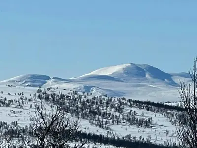 a snow covered hill with trees and a snow covered mountain at Mountain Cabin With Great Ski Terrain in Vingelen