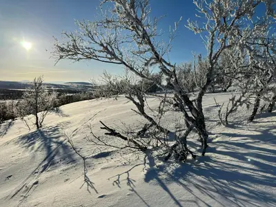 a snow covered hill with trees and the sun at Mountain Cabin With Great Ski Terrain in Vingelen