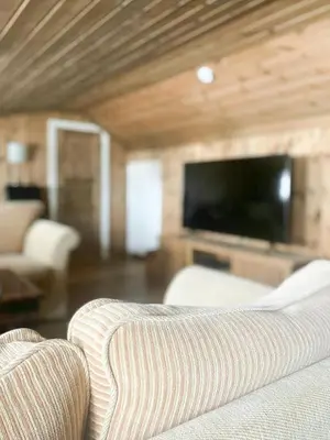 a living room with a couch and a flat screen tv at Family Cabin By The Ski Trails In Rauland in Seljord