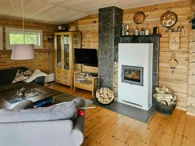 a living room with a couch and a fireplace at Family Cabin With Views Towards Solentoppene in Nymoen