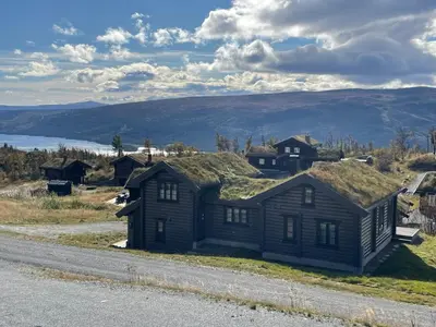 a house with a grass roof on the side of a road at Fjellhytte Med 4 Soverom, Sauna, Peis Og Terrasse in Beitostøl