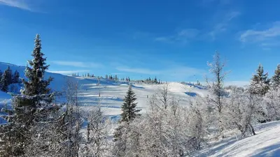 a snow covered hill with trees on it at Mountain cabin in Aurdal Fireplace Sauna 1000 meters above sea level in Aurdal