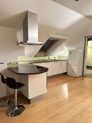 a large kitchen with a counter and a refrigerator at Bright loft apartment in a Jugend-style building close to Brosund in Ålesund