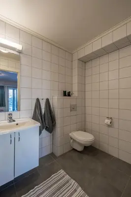 a white bathroom with a toilet and a sink at Large Ski in-Ski out Apartment for Groups in Hemsedal