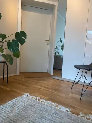 a room with a door and a rug and a plant at Nice apartment super central at Solsiden in Trondheim