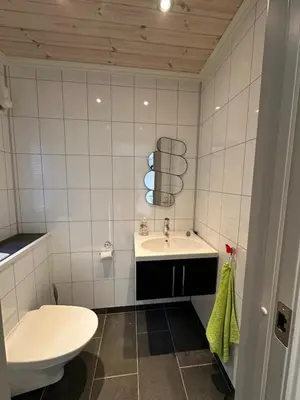 a white bathroom with a toilet and a sink at Nice cottage in quiet surroundings, surrounded by beautiful nature, near Gullingen in Gullingen