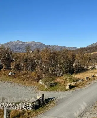 a dog sitting on a fence next to a road at Apartment With Panoramic Views In Beitostølen in Beitostøl