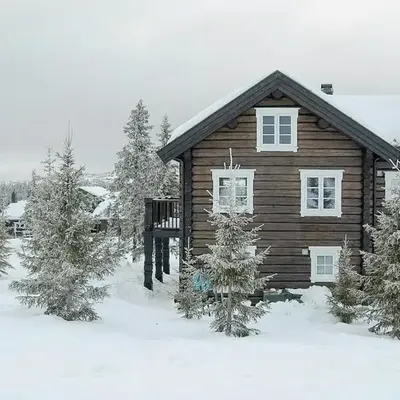 Log Cabin By Mostertoppen Ski Stadium