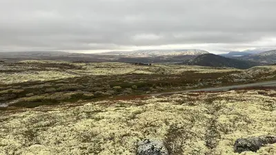 a view of a desert with a road and mountains at Bottheimsætra