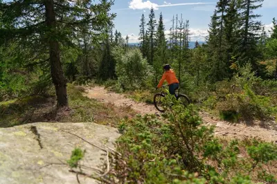 a person riding a bike on a dirt trail at Nice cabin at Norefjell skicenter in Noresund